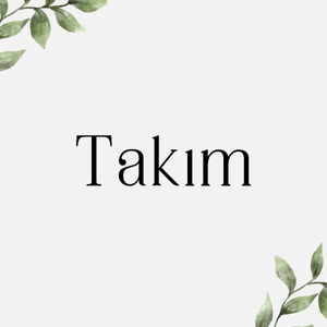 Takım